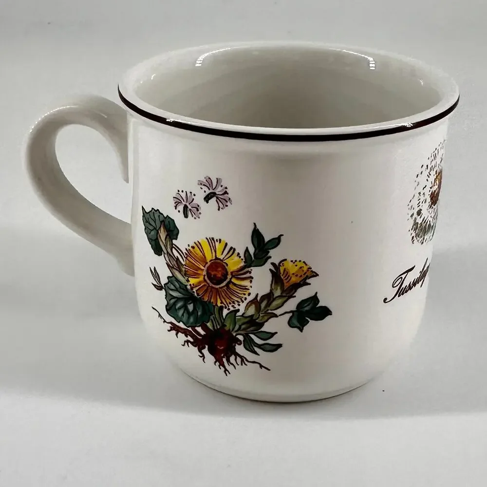 1 mug Villeroy & Boch Botanica Teacup Coffee Mugs Tussilago Farfara